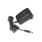 Power Supply ZI-1000 DC 12V / 1A with 2.1 / 5.5mm plug (Electronics)