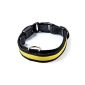LED Colorful dog collar luminous collar necklace 7 colors SML XL 35cm-70cm (S, yellow) (Misc.)