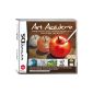 Art Academy (Video Game)