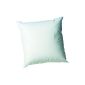 Blanrêve ORSANHT006565 Pillow Anti Bacterial and Anti Mites 65 x 65 cm White (Kitchen)