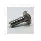 Carriage bolts M8x50