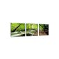 Visario canvas pictures 4216 pictures on canvas image 150 x 50 cm natural three parts (Housewares)
