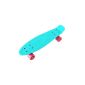 Mini skateboard Cruiser retro plastic - child - 55.9 cm - 8 colors (Miscellaneous)