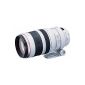 Canon EF 100-400mm f / 4.5-5.6 L IS USM lens (77mm filter thread) (Accessories)