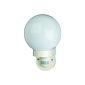 Elro ES49 Applies Globe Glass and Plastic with Motion Detector (Garden)