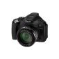 Canon PowerShot SX40 HS Digital Camera (12MP, 35x opt. Zoom, 6.9 cm (2.7 inch) display, image stabilized) (Electronics)