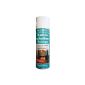 HOTREGA Fireplace glass cleaner, 300 ml (Misc.)