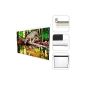 Wizideal - Projection Screen 113 inch manual white roll 203 x 203cm, 289cm diagonal (Electronics)