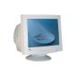 V7 Videoseven N110S - Professional Line Monitor (Personal Computers)