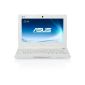 Asus R11CX-WHI002S 25.7 cm (10.1 inches) Netbook (Intel Atom N2600, 1.6GHz, 1GB RAM, 320GB HDD, Windows 7 Starter) white (Personal Computers)