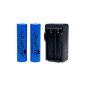 Skytower Ultrafire Lot 2 rechargeable Li-ion battery 4900 mAh 3.7V 18650 charger with Smart AC (Electronics)