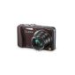 Panasonic DMC-TZ31EG-T digital camera (14.1 megapixels, 20x opt. Zoom, 7.5 cm (3 inch) display, image stabilized) chocolate (Electronics)