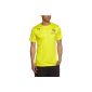 PUMA Men's Training Shirt BVB Performance Tee with sponsor logo (Sports Apparel)