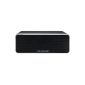 Blaupunkt BT 5 BK Bluetooth speaker with microphone for hands-free, built-in battery, MP3 Link, Black (Electronics)