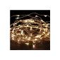 Jinto Garlands Bright Copper Wire 3m Waterproof 30-LED lamps Chain - White Hot (Electronics)