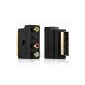 deleyCON Scart to 3x RCA jacks IN / OUT switch + S-VIDEO / S-VHS AV Audio, Video Adapter [plated contacts] (Electronics)