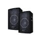 FEW Skytec DJ PARTY SPEAKER SL8 for disco and party room (electronics)