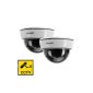Floureon - lot 2 Dummy CCTV Dome Camera Indoor Outdoor Security Camera Surveillance Dummy - Flashing LED Light - White (Electronics)