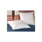 2 Pack Pillow 80x80 cm (household goods)