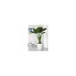 Classico LS 43 Premium Series Complete High Gloss White 16080 (garden products)