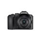 Samsung NX10 system camera (14.6 megapixels, image stabilization) Kit incl. 18-55mm lens, black (Electronics)