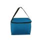 Easylunchboxes insulated food bag Blue (Kitchen)