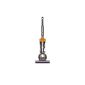 Dyson DC42 Allergy vacuum cleaner / Ball / 700 watts / Electrical roller brush with carbon fibers and suction / without bag (household goods)