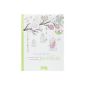 Inspiration Garden: 50 Stress coloring (Paperback)