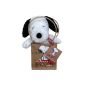 Snoopy in a gift bag 18cm (Toy)