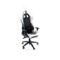 Robas Lund 62506GW8 / 62506SW4 Racer6 executive chair with armrests, aluminum, black, 78 x 52 x 124-134 cm, leatherette PU black / white (household goods)
