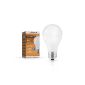 SEBSON® E27 LED 9W Lamp - cf. 60W bulb - 810 lumens - LED E27 Warm White - LED lamps 160 ° (household goods)