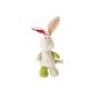 My first NICI Schmusetier Hase 25cm (Baby Product)