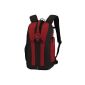 Lowepro Flipside 300 Backpack Red (Electronics)