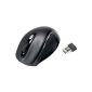 Revoltec Cordless Mini Mouse C204 black (Accessories)