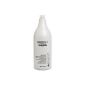 L'Oréal Professionnel - Radiance Shampoo Hair Silver Grey and White - 1500 ml (Personal Care)