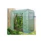 Greenhouse tomatoes greenhouse tomatoes greenhouse hotbed NEW A