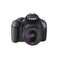 Canon EOS 1100D Digital SLR Camera (12MP, 6.9 cm (2.7 inch) display, HD-Ready, Live View) Kit II incl EF-S 18-55mm 1:. 3.5-5.6 IS II (Electronics)