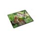 Cats 10008, kittens, Designer Mousepad Pad Mouse Pad Strong anti-slip underside for optimum grip with Vivid Scene Compatible with all mouse types (ball, optical, laser) Ideal for gamers and graphic designers (Electronics)