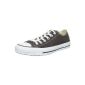 Converse Chuck Taylor All Star Core Ox Lea, Trainers adult mixed mode (Shoes)