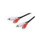 Wentronic Audio / Video cable (2x RCA plug to 2x RCA plug) 1.5 m (accessories)
