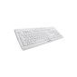 Cherry Stream XT 0 G85-23100FR-wired USB keyboard light gray (Personal Computers)