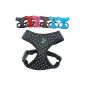 Harness without pull-small dogs - pet harness - breathable quality Dotty Cotton - Colour range and sizes Black Medium (Miscellaneous)