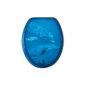 Seat 9 40649 toilet seat greeting from the sea with soft-close convenience and Fast Fix (tool)