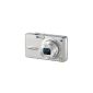 Panasonic Lumix DMC-FX01EG-S digital camera (6 megapixels) Silver (Electronics)