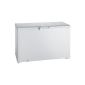 Bauknecht GTE 280 A3 + freezer / A +++ / freezing: 274 L / white / Digital temperature display / ECO Energy Saver / child lock (Misc.)