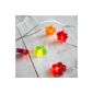 Garland Light Cells, Multicolored Flowers 30 LED Warm White (Kitchen)