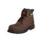 Caterpillar Holton St Sb, Human Safety Boots, Brown (Honey Reset), EU 46 (Shoes)