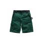 Dickies Shorts Industry 300 green / black GNB56, IN30050 (Sports Apparel)