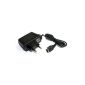 Console Adapter Charger for DS and GBA SP (Accessory)