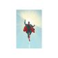 Absolute All Star Superman (Hardcover)